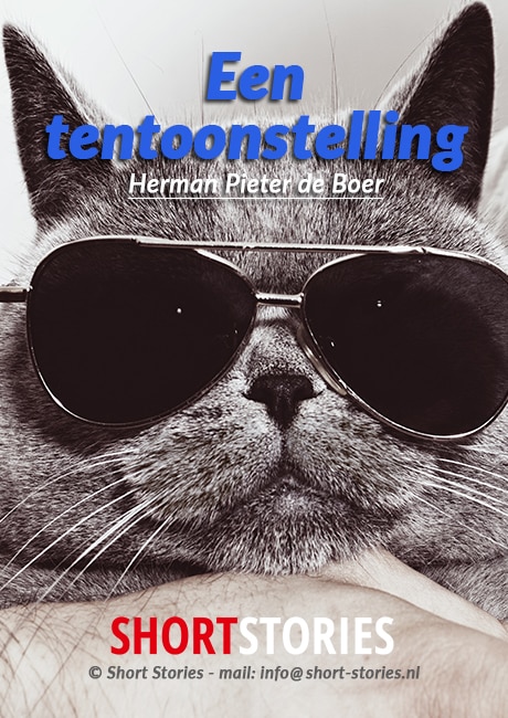 Een tentoonstelling<br>Van: H.P. de Boer<br>Stem: Sonja Pourier<br>Speelduur: 09'21"