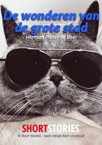 De wonderen<br>van de grote stad<br>Van: H.P. de Boer<br>Stem: M. Verschuuren<br>Speelduur: 06'13"