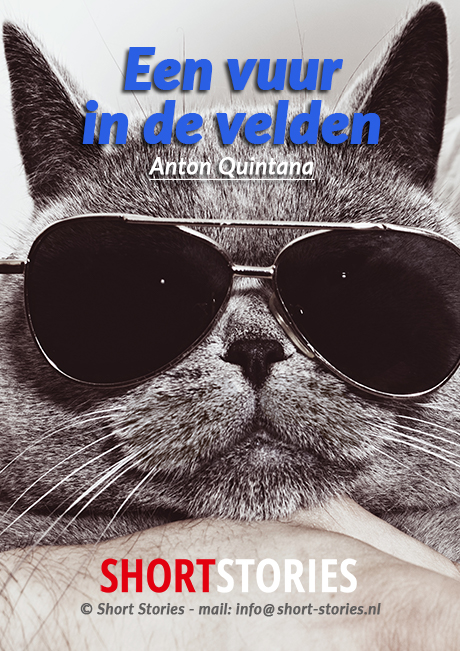 17.Het boek van Bod Pa<br>Een vuur in de velden<br>Van: Anton Quintana<br>Stem: Peter van Eerdenburg<br>Speelduur: 15'36"