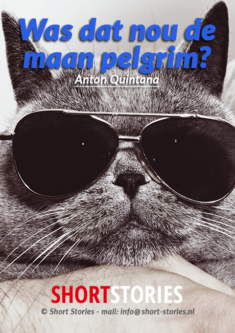 42.Het boek van Bod Pa<br>Was dat nou de<br>maan pelgrim?<br>Van: Anton Quintana<br>Stem: Peter van Eerdenburg<br>Speelduur: 41'48"