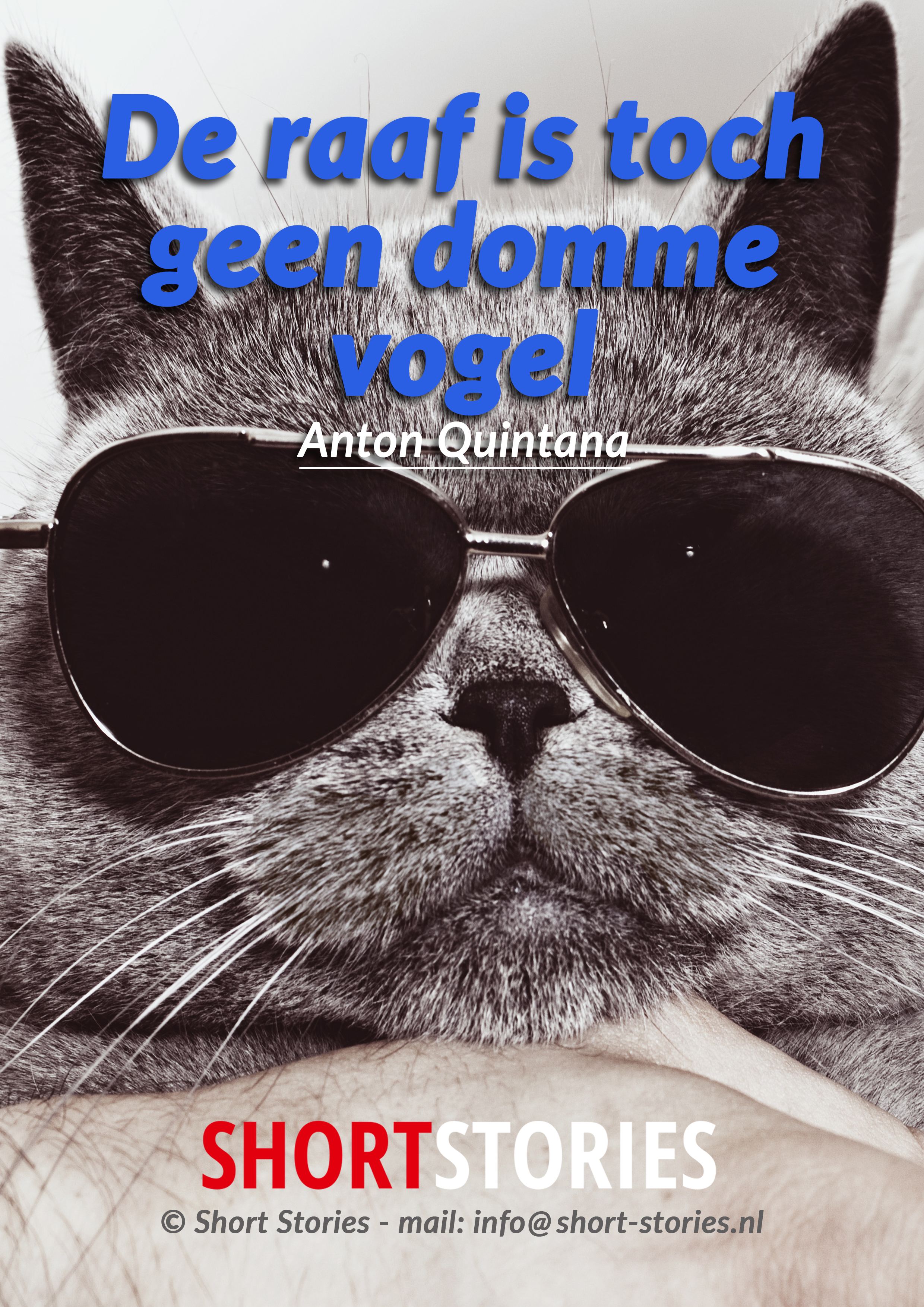 13.Het boek van Bod Pa<br>De raaf is toch geen domme vogel<br>Van: Anton Quintana<br>Stem: Peter van Eerdenburg<br>Speelduur: 10'38"